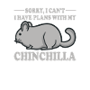 Chinchillas Quote Funny Chinchilla