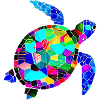 Sea Turtle