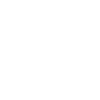 Mein Auto kompensiert