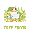 Red-eyed tree frog