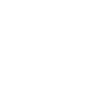 LE GOUVERNE MENT (blanc)