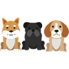 Dogs