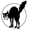 Anarchy Cat