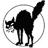 Anarchy Cat