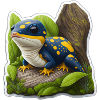 Small salamander