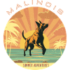 Belgian Shepherd - Summer