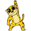 Jaguar Cat