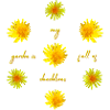 Dandelions Garden