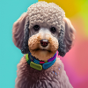 Pastel Doggy collection - Labradoodle