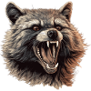 Raccoon Raccoon Nature Raccoon Head