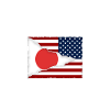 American grown with japanese roots