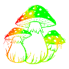 Neon-Pilze
