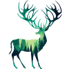 Cerf forestier