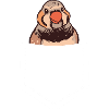 Pinsons zèbres Oiseau Pinson zèbre