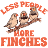 Zebra Finches Bird Zebra Finch
