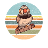 Pinsons zèbres Oiseau Pinson zèbre