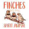 Zebra Finches Birds Zebra Finches