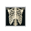 RAD TECH X-RAY TECH RADIOLOGY TECH RADIOLOGY TECH