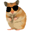 Hamster Menno with sunglasses cool