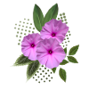 Fleurs - Bouquet - Fleurs - Flore