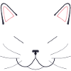 britisch Kurzhaar Katze
