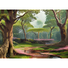 Forêt verte éternelle