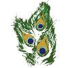 Peacock Feather,Peacock,Peacock Eye