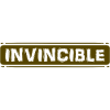 Imprimé T-shirt INVINCIBLE unique!