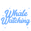 Living That Whale Watching Life