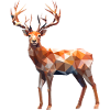 Polygon Hirsch