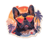Französiche Bulldogge Palmen Strand Urlaub