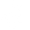 Collie
