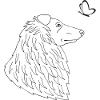 Collie mit Schmetterling