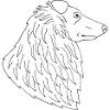 Collie