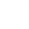 Collie