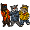 Chats Swag