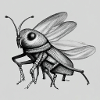 entomology