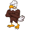 Angry Eagle Character