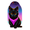 petit chat noir et espace