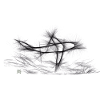 Sauberer Grafikhai