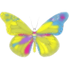 Bunte Schmetterling