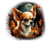 Chihuahua Costume d'Halloween - Citrouille