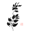 branch