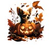 Chihuahua Costume d'Halloween - Citrouille