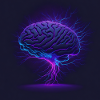 Brain