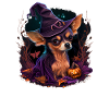 Chihuahua Costume d'Halloween - Citrouille