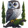 Little Eagle Owl