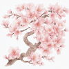 Fleurs de cerisier japonais