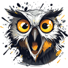 Crazy Eule