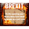 Anti - Brexit.